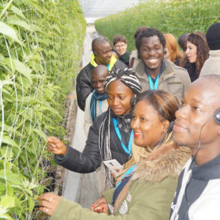 Die internationale Gruppe besichtigt ein Himbeergewächshaus